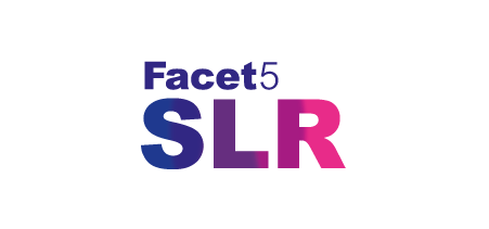 Logo for Facet5 Strategic Leadership Review