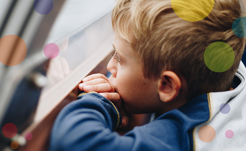 What is a career - boy looking through window dreaming